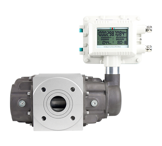 Gas Roots Flow Meter