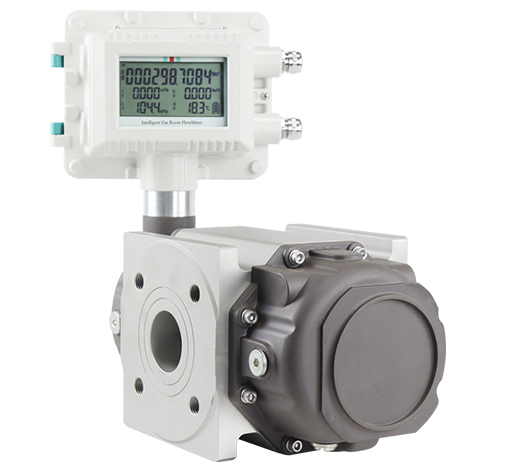 Gas Roots Flow Meter