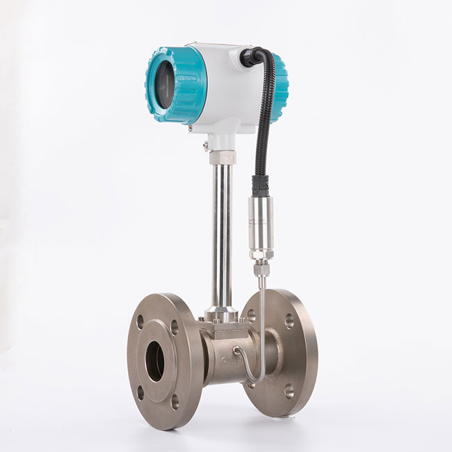 vortex flow meter