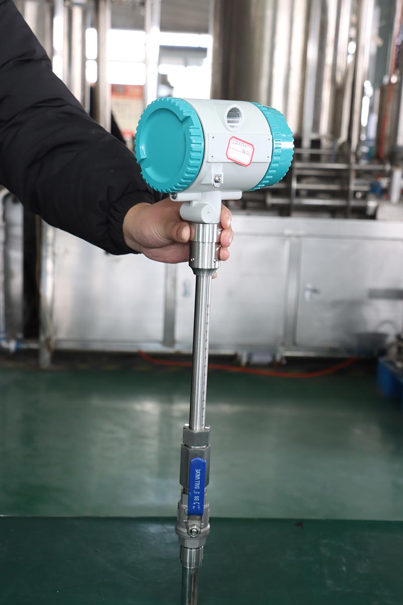 Intelligent converter thermal gas flow meter