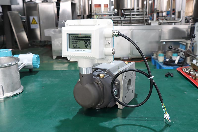 High quality Factory direct sell propane vapor natural gas rotary gas meter