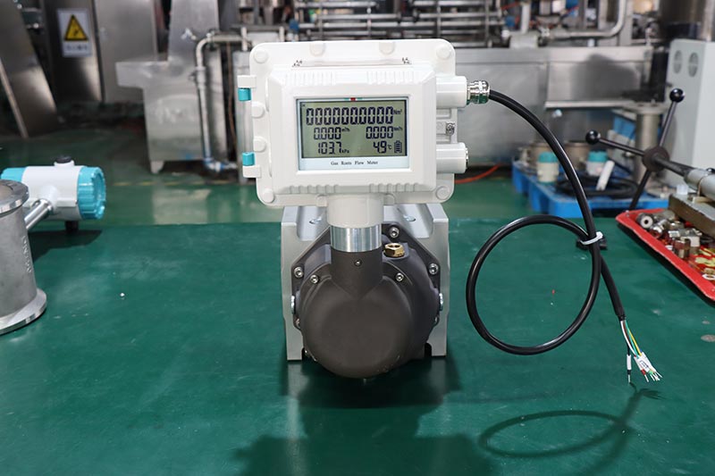 Natural Gas transmission lobed impeller rotary meter